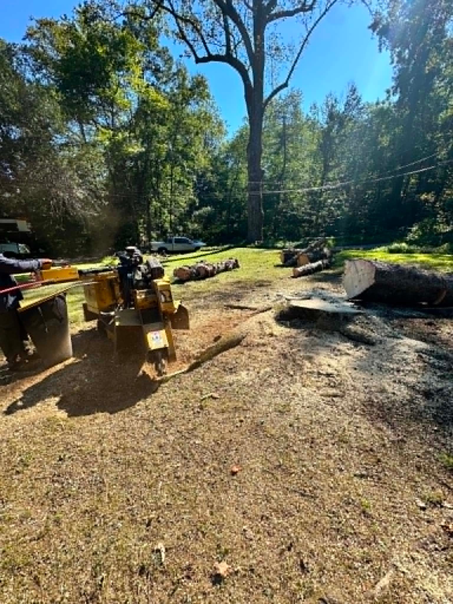Stump Grinding in Danbury CT