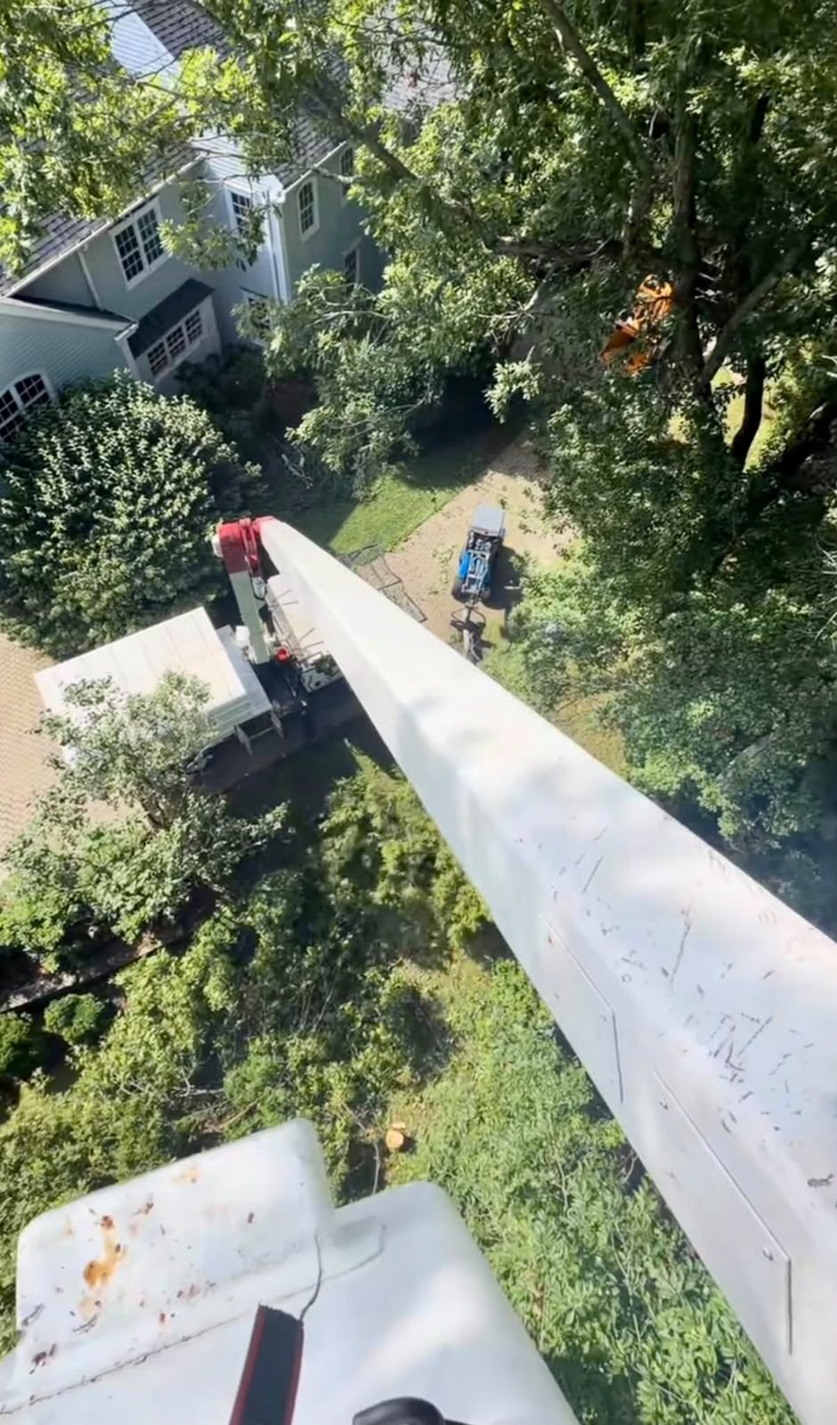 Arborist view from bucket truck during tree removal