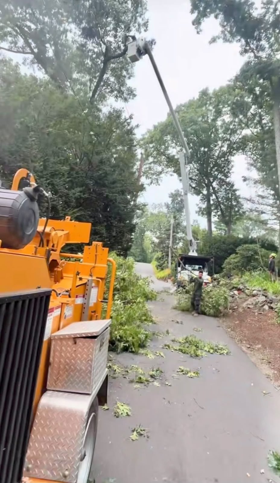 Wood chipper and roadside debris cleanup after tree removal