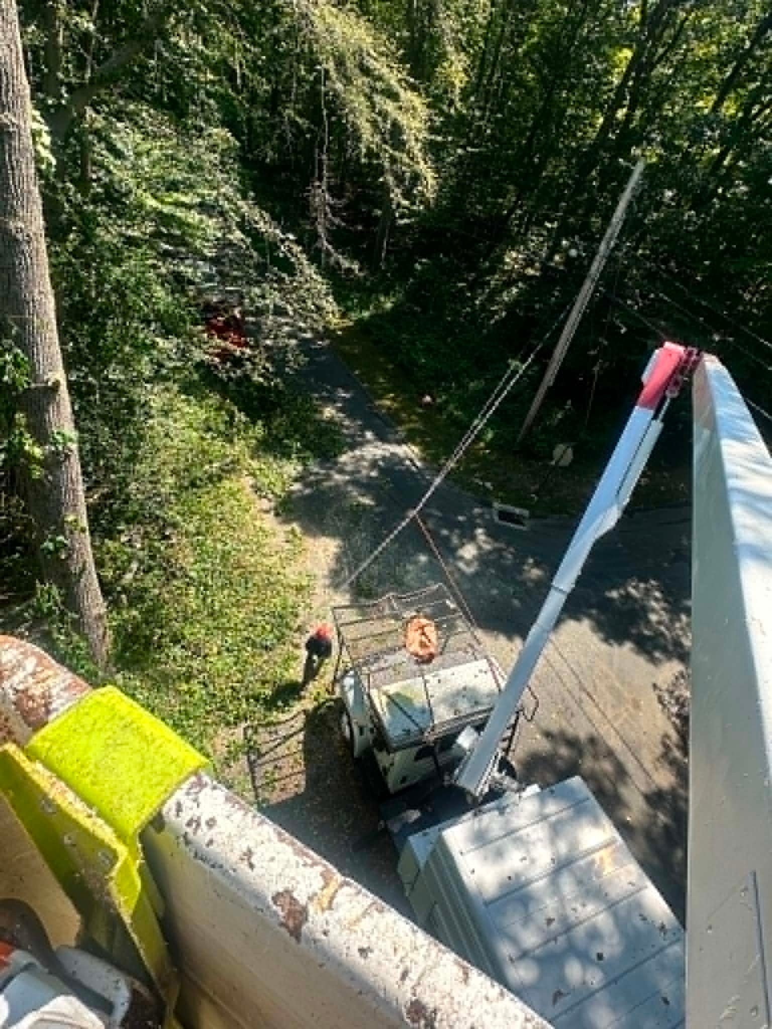 Crane basket aerial
