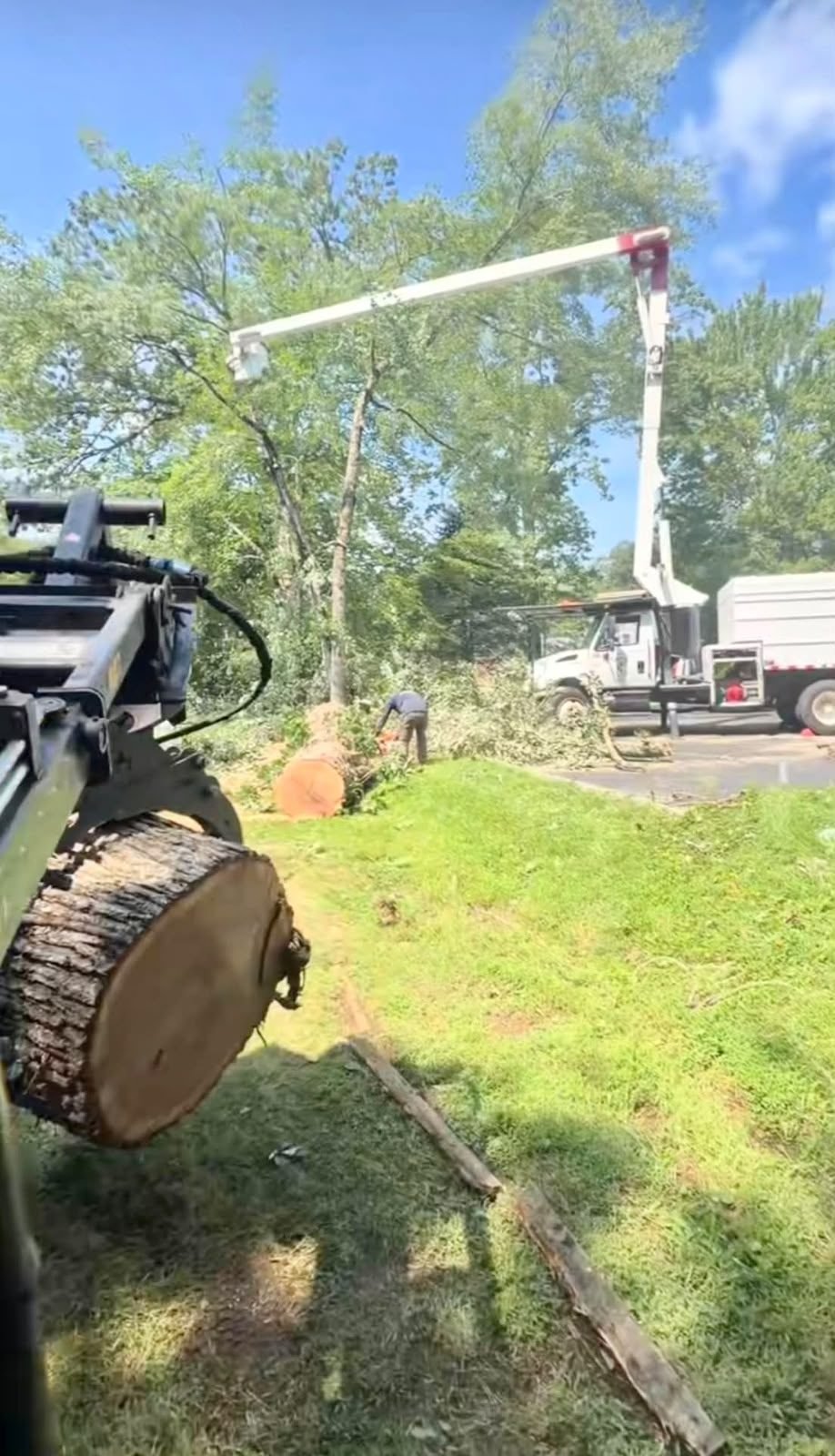 Large tree log removal with bucket truck, CT