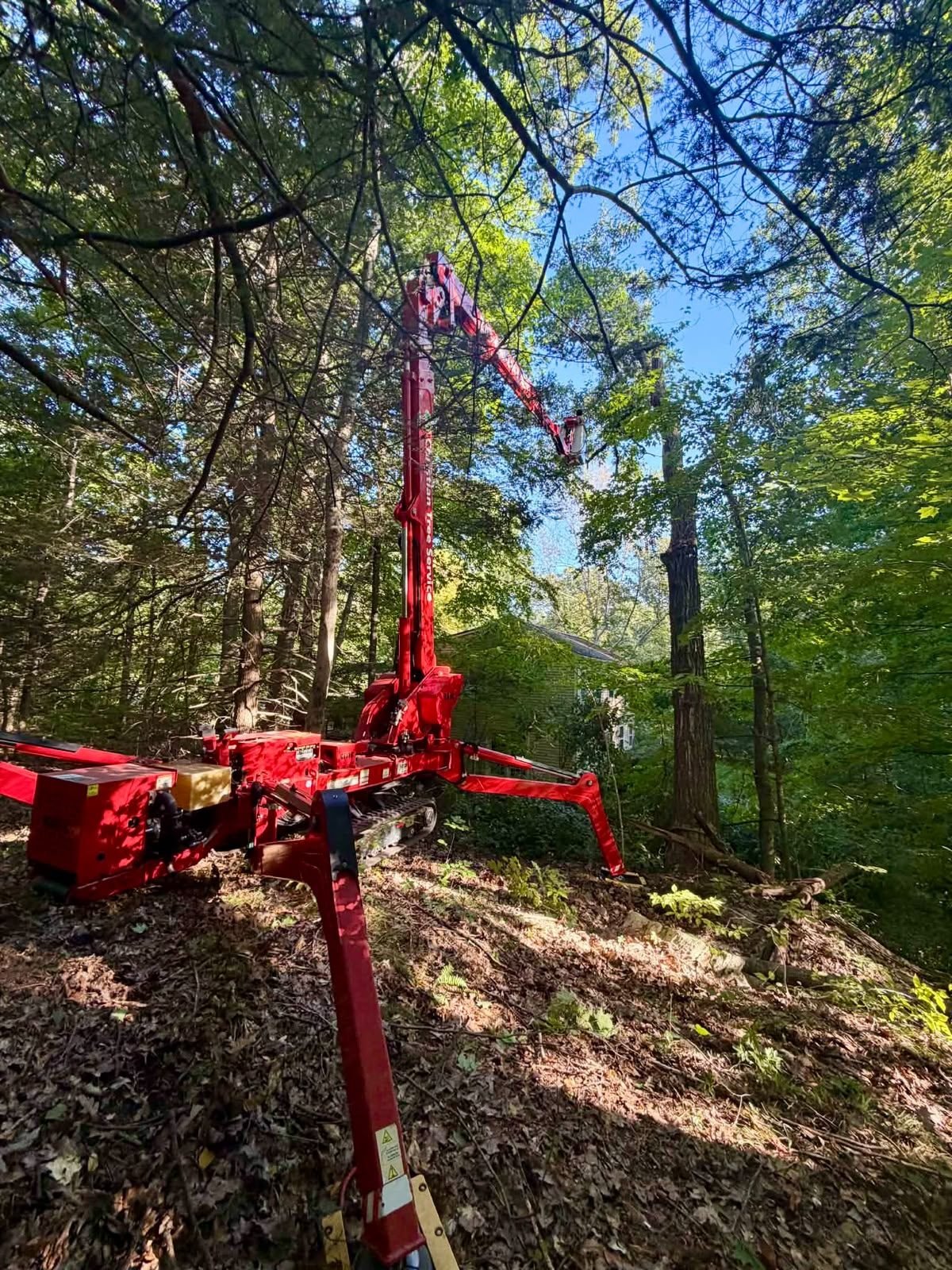 Land Clearing CT